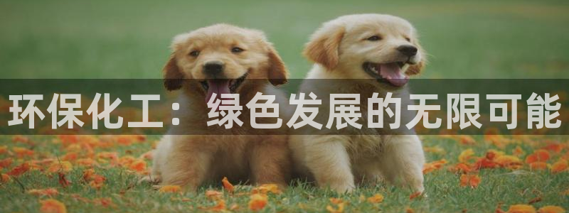 亿万先生游戏平台网址