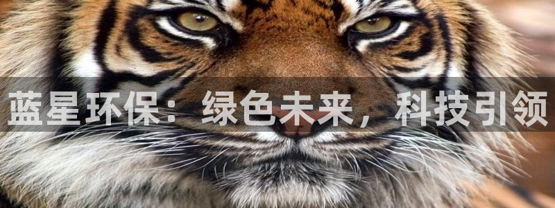 亿万先生mr07：蓝星环保：绿色未来，科技引领
