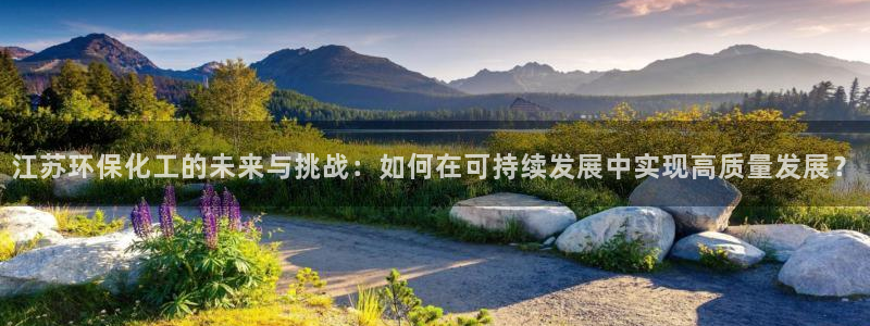 亿万讲了什么：江苏环保化工的未来与挑战：如何在可持续发展中实现高质量发展？