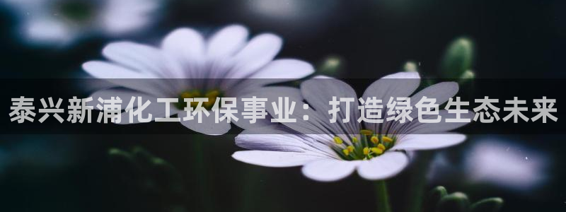 亿万先生 手机版下载：泰兴新浦化工环保事业：打造绿色生态未来