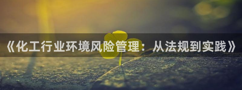 亿万首富游戏破解版无限钻石：《化工行业环境风险管理：从法规到实践》
