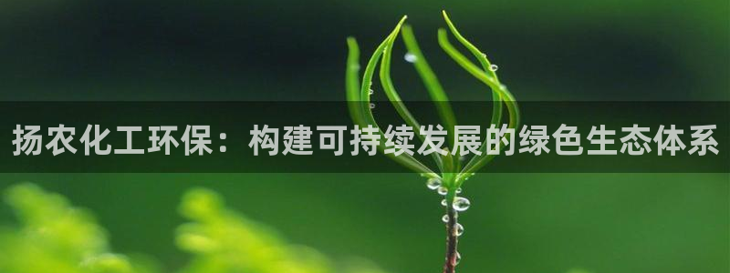 亿万第一季解说：扬农化工环保：构建可持续发展的绿色生态体系