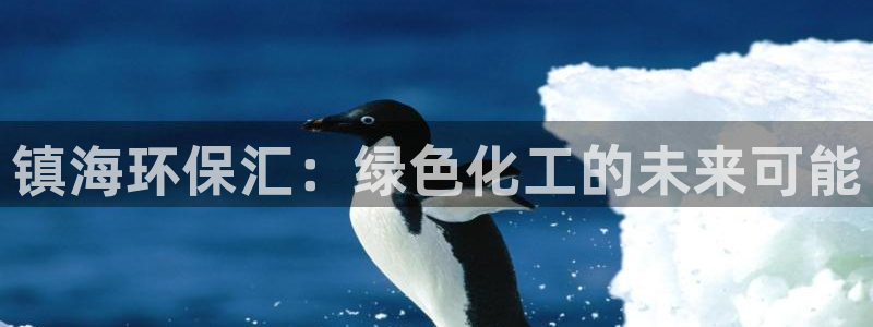 亿万先生合并网址是什么：镇海环保汇：绿色化工的未来可能