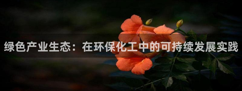亿万先生客服联系电话：绿色产业生态：在环保化工中的可持续发展实践