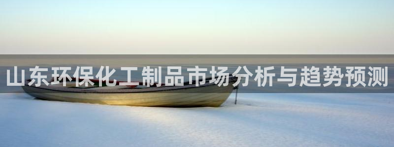 亿万首富游戏：山东环保化工制品市场分析与趋势预测
