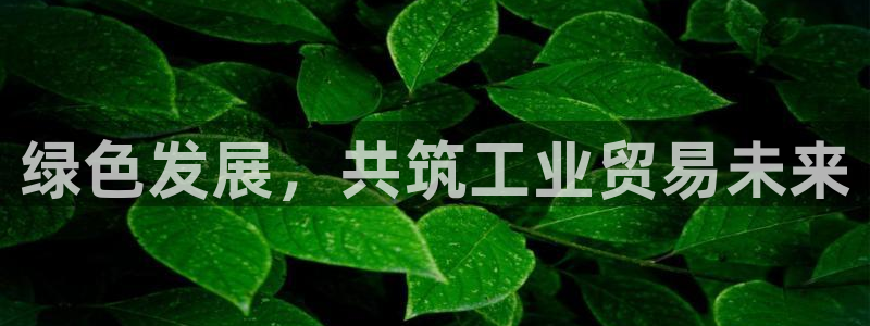 亿万先生手机版入
