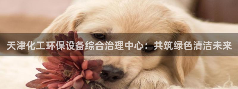亿万先生客户端官网首页：天津化工环保设备综合治理中心：共筑绿色清洁未来