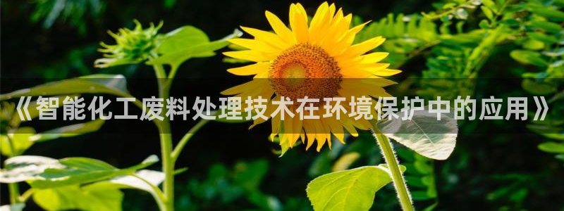 亿万城市手游官网：《智能化工废料处理技术在环境保护中的应用》