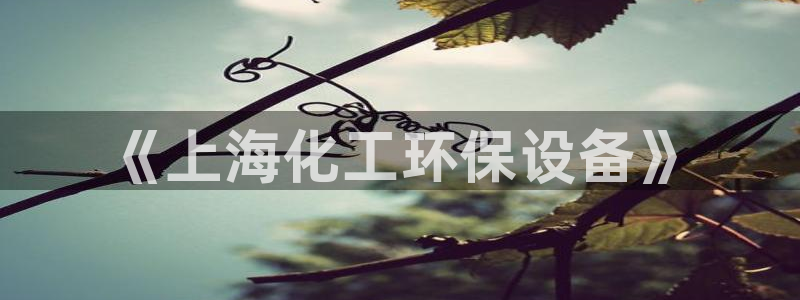 亿万先生官方客服：《上海化工环保设备》