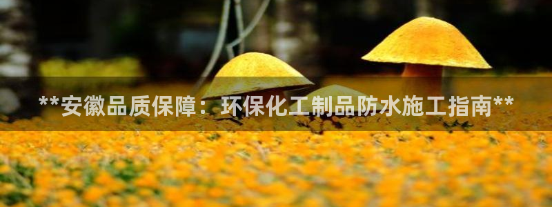 亿万手游平台官网入口：**安徽品质保障：环保化工制品防水施工指南**