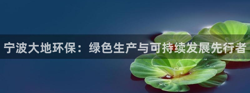 亿万首富游戏：宁波大地环保：绿色生产与可持续发展先行者