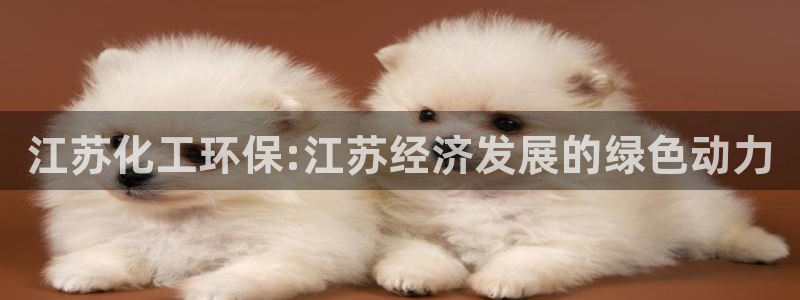亿万先生客服联系方式查询：江苏化工环保:江苏经济发展的绿色动力