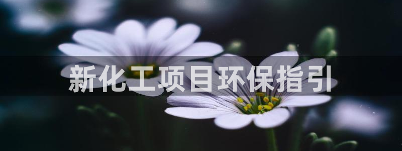 亿万国际平台是正规的吗安全吗：新化工项目环保指引