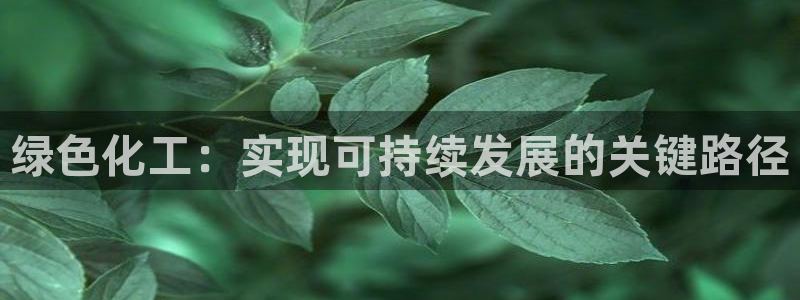 亿万讲什么：绿色化工：实现可持续发展的关键路径