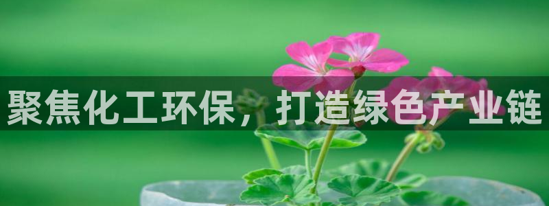 mr亿万先生：聚焦化工环保，打造绿色产业链