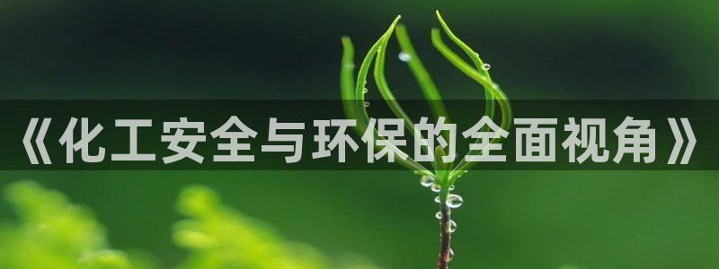 亿万讲什么：《化工安全与环保的全面视角》