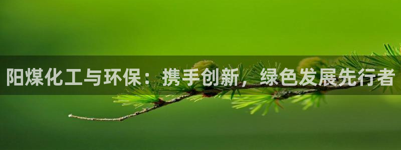 亿万先生手游下载官网：阳煤化工与环保：携手创新，绿色发展先行者