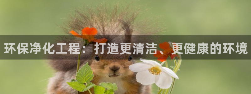 亿万先生007网页登录不了：环保净化工程：打造更清洁、更健康的环境