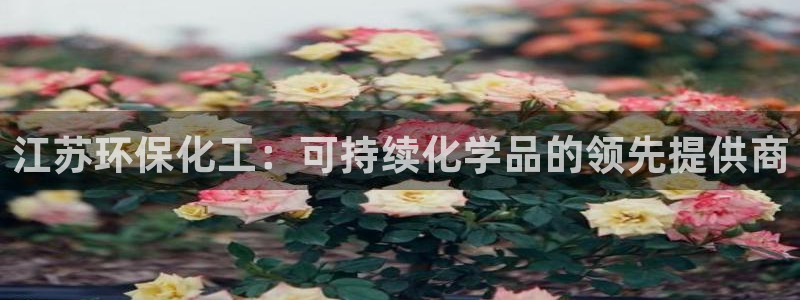 亿万先生客服联系方式是什么：江苏环保化工：可持续化学品的领先提供商