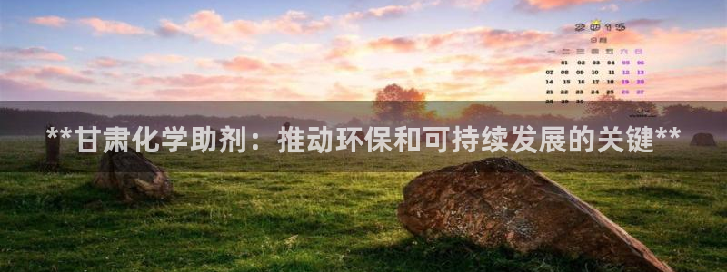 亿万先生客服联系：**甘肃化学助剂：推动环保和可持续发展的关键**