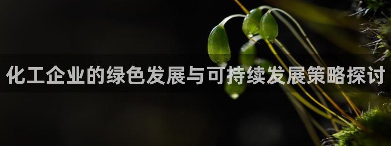 mr07亿万先生：化工企业的绿色发展与可持续发展策略探讨