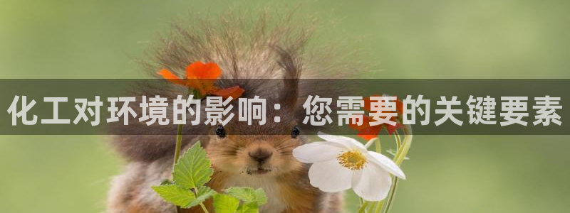 亿万先生换网址了吗：化工对环境的影响：您需要的关键要素