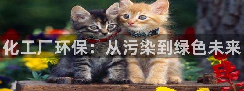 亿万国际游戏官网：化工厂环保：从污染到绿色未来