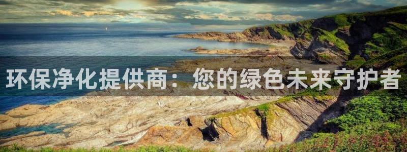 亿万先生网红：环保净化提供商：您的绿色未来守护者