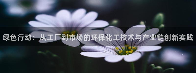 亿万先生客户端官网登录不了：绿色行动：从工厂到市场的环保化工技术与产业链创新实践