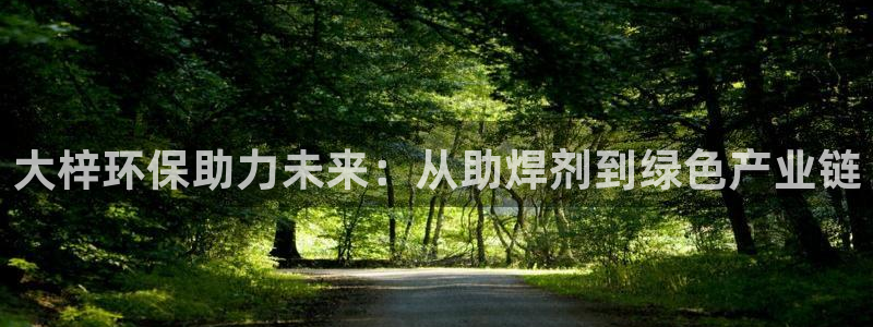 亿万集团：大梓环保助力未来：从助焊剂到绿色产业链