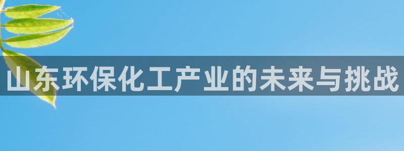 亿万网红：山东环保化工产业的未来与挑战