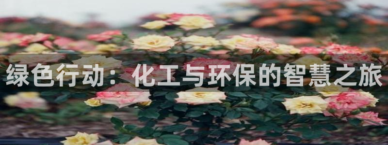 亿万视频：绿色行动：化工与环保的智慧之旅
