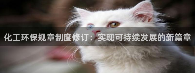 亿万剧情介绍：化工环保规章制度修订：实现可持续发展的新篇章