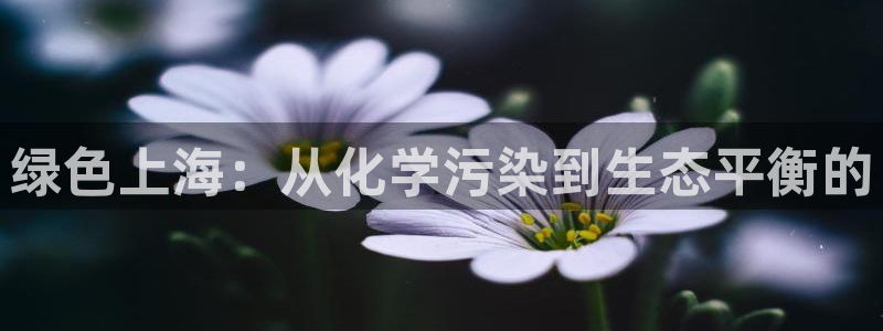 mr亿万先生：绿色上海：从化学污染到生态平衡的