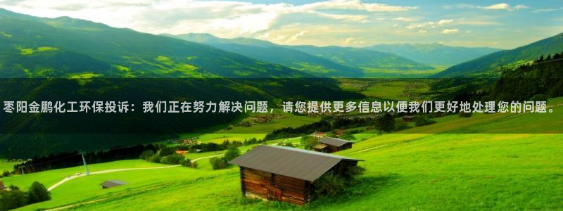 mr001亿万先生：枣阳金鹏化工环保投诉：我们正在努力解决问题，请您提供更多信息以便我们更好地处理您的问题。