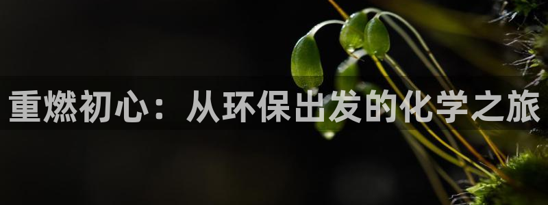 亿万先生合并网址是什么：重燃初心：从环保出发的化学之旅