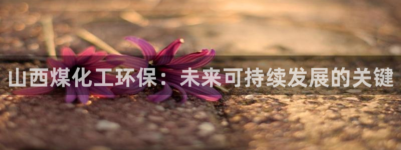 亿万billions：山西煤化工环保：未来可持续发展的关键