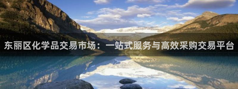 亿万先生手机版入口在哪看：东丽区化学品交易市场：一站式服务与高效采购交易平台