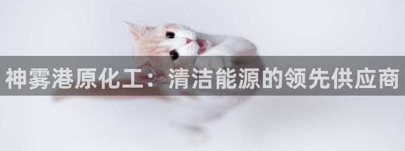 亿万先生网红：神雾港原化工：清洁能源的领先供应商