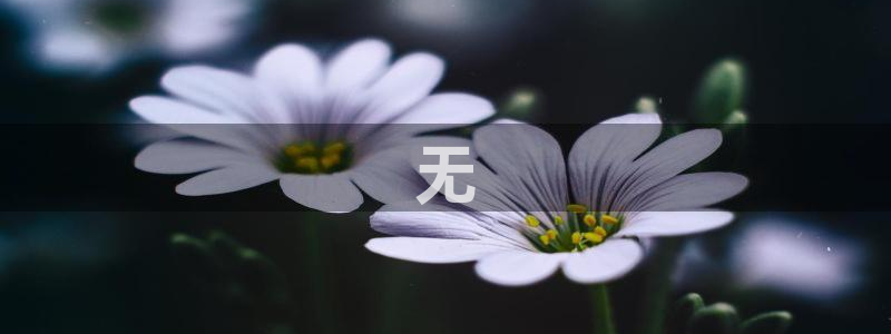 亿万先生官方网站下载安装：无