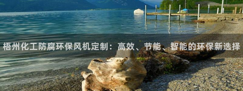 mr001亿万先生：梧州化工防腐环保风机定制：高效、节能、智能的环保新选择