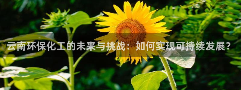 亿万讲了什么:云南环保化工的未来与挑战:如何实现可持续发展?